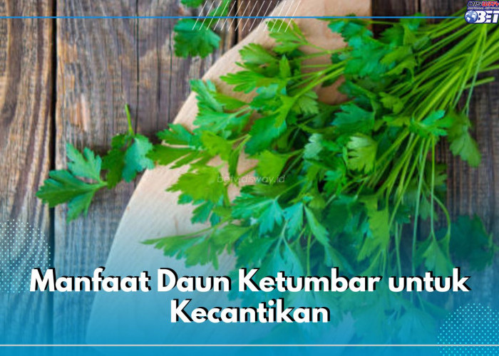 Ini 7 Manfaat Daun Ketumbar untuk Kecantikan yang Jarang Sekali Diketahui, Cek Disini