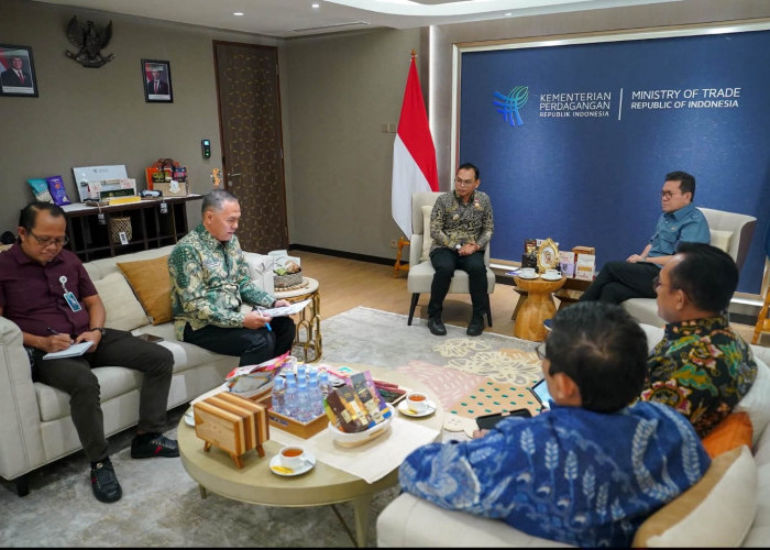 Temui Mendag, Bupati Teddy Rahman Dorong Pembangunan Pasar Harian Seluma Masuk Program 2027