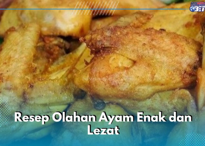 Resep Olahan Ayam Enak dan Lezat yang Wajib Dicoba, Cek Segera di Sini