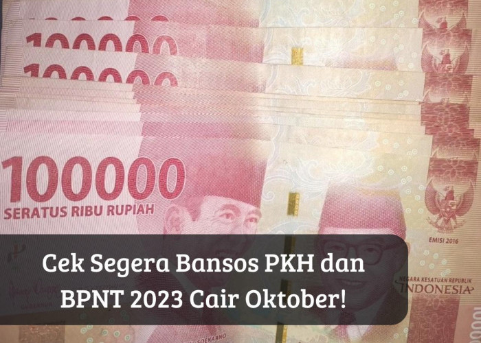 Bansos PKH dan BPNT 2023 Cair Lagi ke Penerima, Segera Cek Penyalurannya Melalui cekbansos.kemensos.go.id