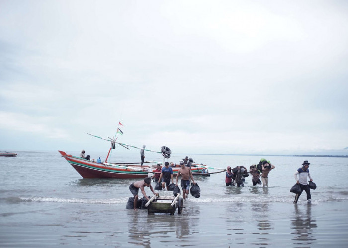 Program KNMP 2026 di Bengkulu Berlanjut, 4 Kabupaten Jadi Lokasi Prioritas