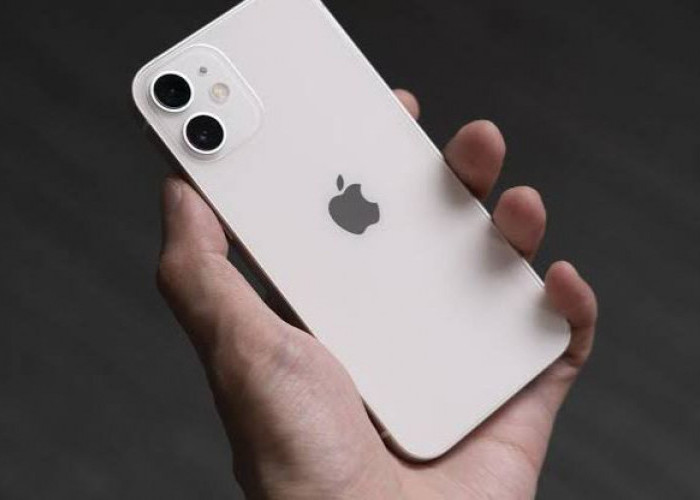 Harga iPhone 12 Makin Murah Akhir Februari 2024, Cek Rinciannya di Sini Mumpung Masih Diskon