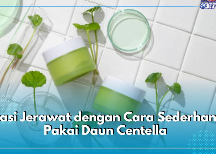 Atasi Jerawat dengan Cara Sederhana, Cukup Pakai Daun Centella, Ini Cara Menggunakan dan Aturan Pakainya