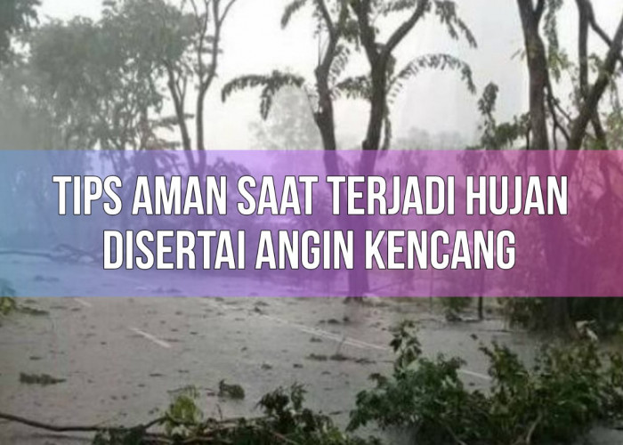 Ada Peringatan Cuaca Buruk di Bengkulu, Begini 6 Tips Aman Saat Terjadi Hujan Disertai Angin Kencang