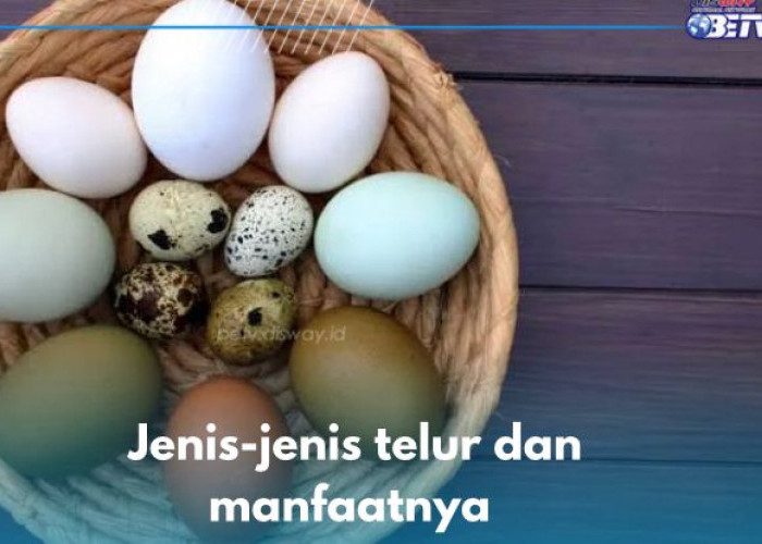 Mengenal Macam-macam Telur dan Manfaatnya, Mulai dari Telur Ayam hingga Kaviar, Pernah Makan yang Mana?