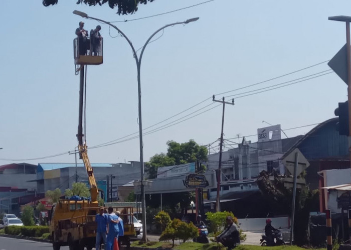 Dishub Kota Bengkulu Targetkan 305 Unit Lampu Jalan Terpasang Tahun ini