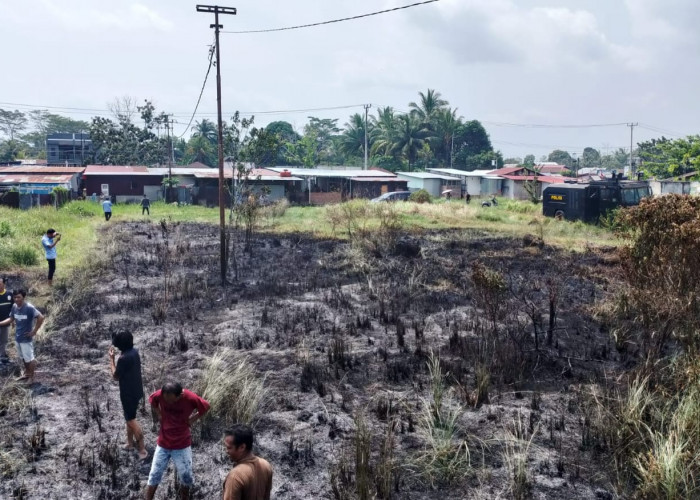 Lahan Setengah Hektar Milik RRI Bengkulu Terbakar, Hampir Melahap Rumah Warga 