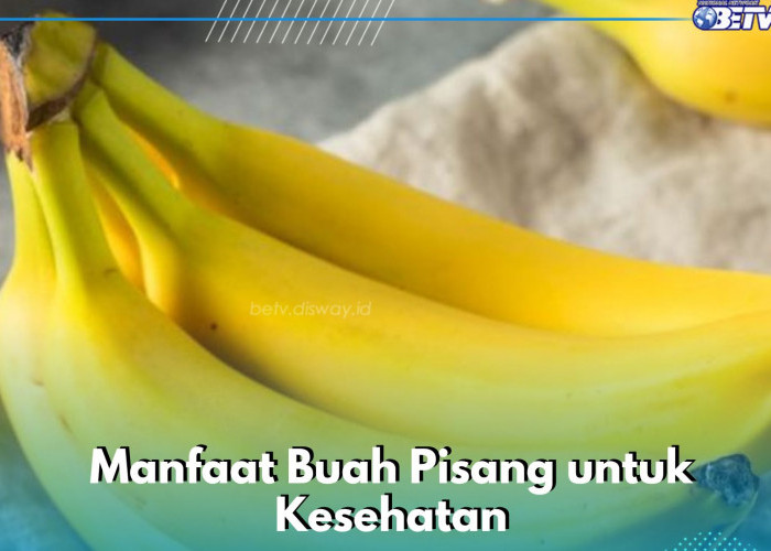 Menjadi Sumber Energi, Ini Manfaat Buah Pisang yang Dapat Dikonsumsi Sehari-hari