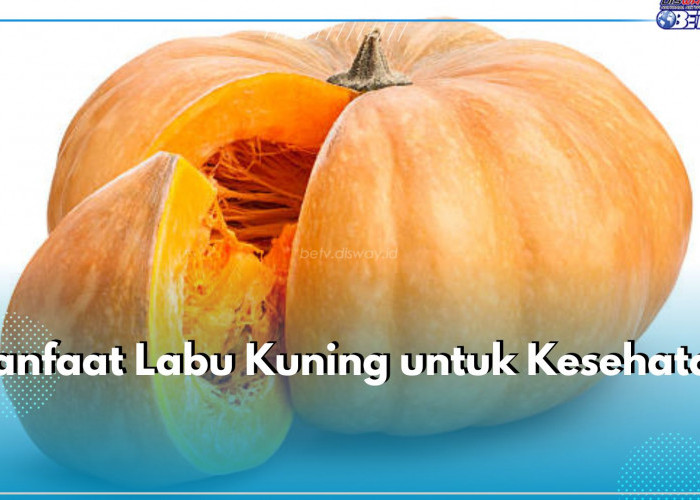 Dikenal Baik Untuk Mata, Ini 6 Manfaat Lainnya Dari Labu Kuning untuk Kesehatan