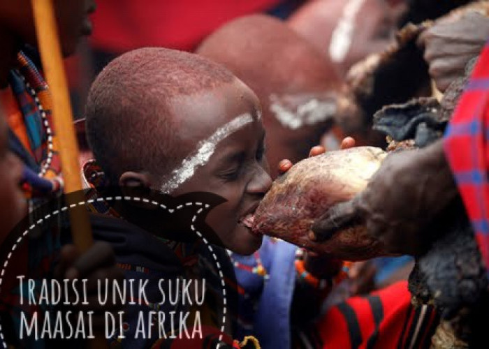 Tradisi Suku Maasai di Afrika, Minum Darah Sapi yang Segar Buat Kekebalan Tubuh