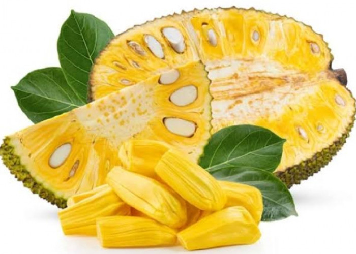Penderita Alergi hingga Ginjal Dilarang untuk Konsumsi Buah Nangka, Mengapa? Ini Jawabannya!