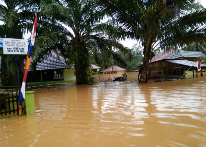 Banjir Kembali Melanda Desa dan Persawahan Srikuncoro