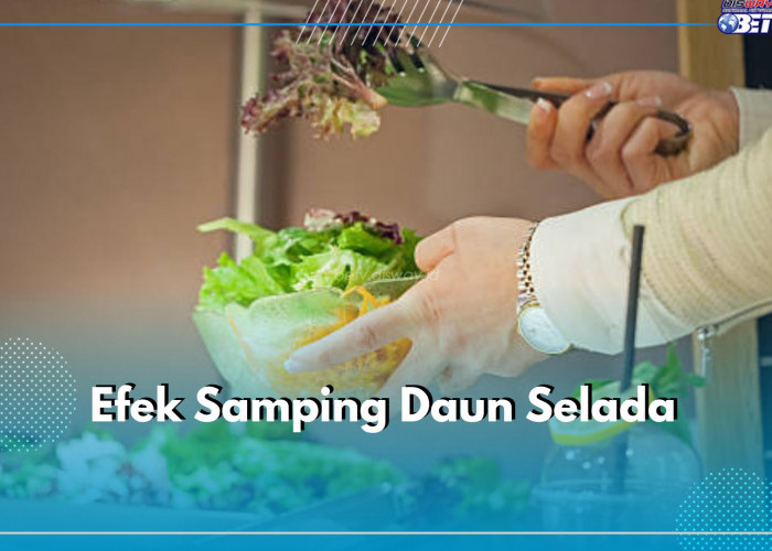 Ini 6 Efek Samping Daun Selada yang Wajib Kamu Waspadai, Ingat Jangan konsumsi Berlebihan