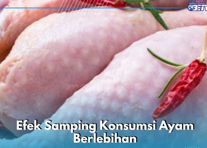 Hati-hati, Ini yang Terjadi Jika Konsumsi Ayam Berlebihan, Cek di Sini!