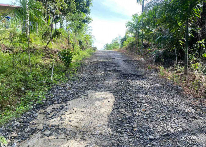 Warga Bengkulu Tengah Resah Hadapi Jalan Rusak Setiap Hari