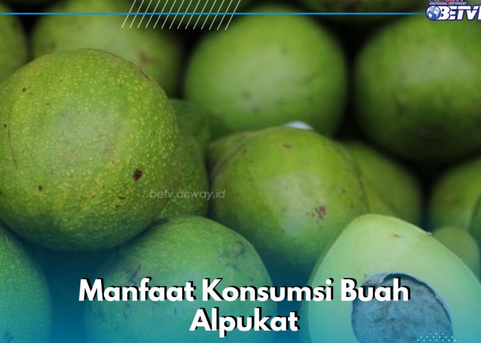 Mata makin sehat, ini manfaat buah Alpukat yang ditawarkan, cukup konsumsi secara rutin