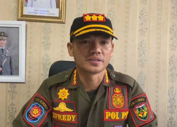 Sanksi Tegas Menanti Pemilik Ternak Nakal, Satpol PP Bengkulu Selatan Siapkan Tindakan Angkut di Tempat