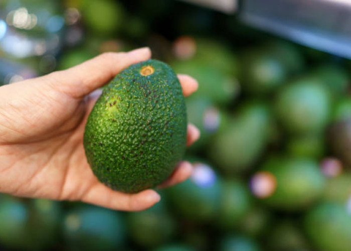 Tanpa Bahan Kimia Berbahaya, Ini Cara Alami Mematangkan Buah Alpukat, Gunakan Koran hingga Beras