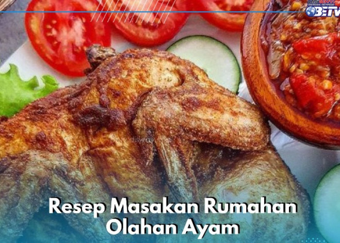 Cek Resep Masakan Rumahan Olahan Ayam Enak Ini, Begini Cara Mudah yang Perlu Disiapkan