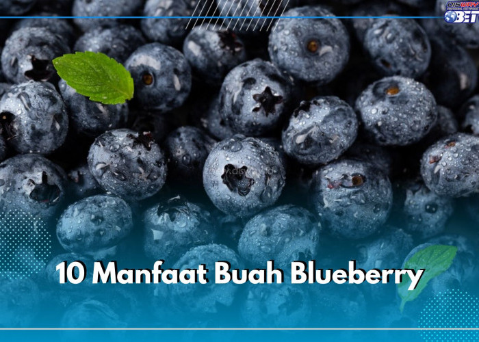 Super Food! Inilah 10 Daftar Lengkap Manfaat Buah Blueberry Bagin kesehatan Tubuh