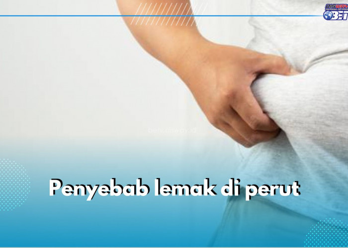 Perutmu Buncit? Ini 5 Kemungkinan Penyebab Penumpukan Lemak Perut, Cek Apa Saja!