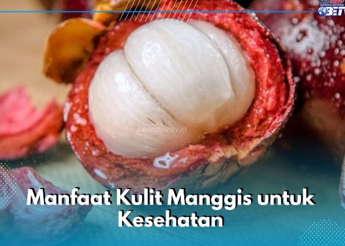 Selain Buahnya, Ini 7 Manfaat Kulit Manggis yang Sayang Dilewatkan, Kamu Perlu Tahu