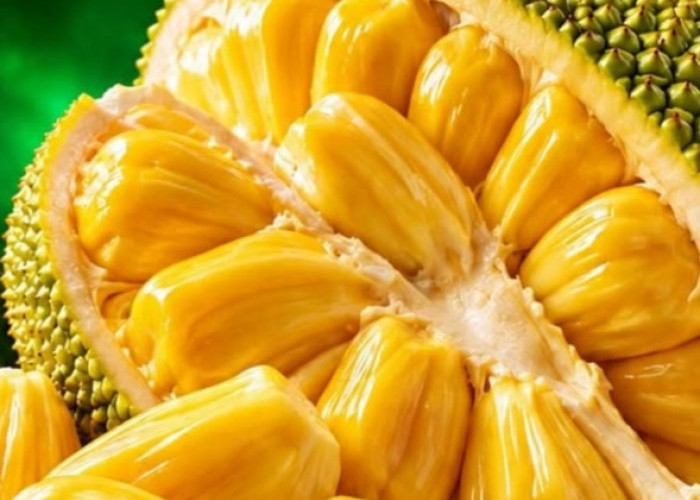 Bisa Memicu Kembung dan Alergi, Cek Efek Samping Nangka yang Jarang Diketahui Ini