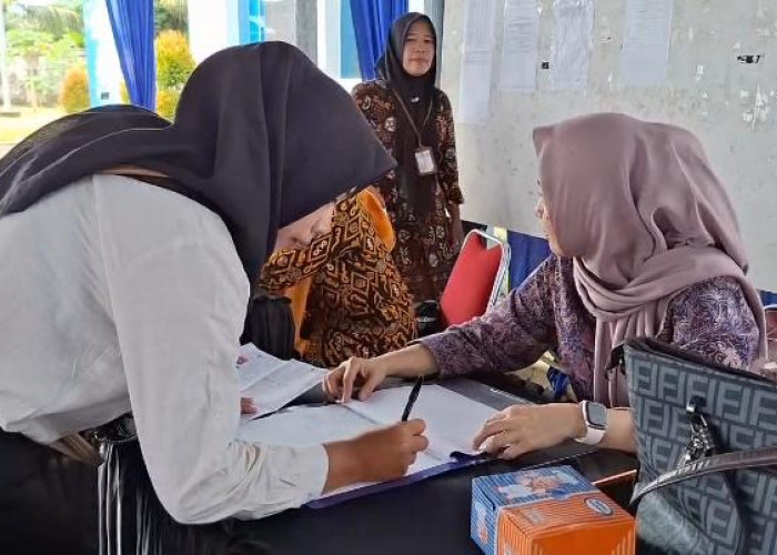 BKD Provinsi Bengkulu Usulkan NIPPPK untuk Formasi Teknis dan Kesehatan, Formasi Guru Menyusul