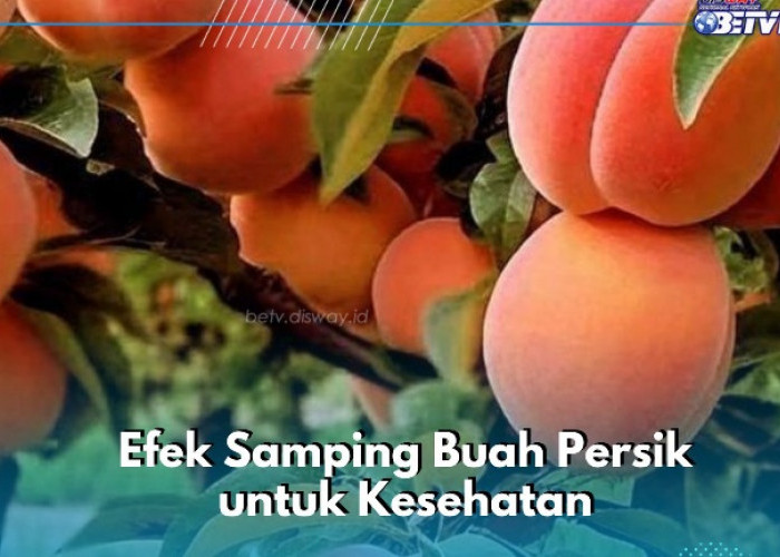 Efek Samping Makan Buah Persik untuk Kesehatan, Hati-hati Bisa Sebabkan Reaksi Alergi