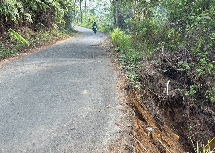 Jalan Napal Jungur-Dusun Tengah Tergerus Longsor, Warga Minta Segera Diperbaiki