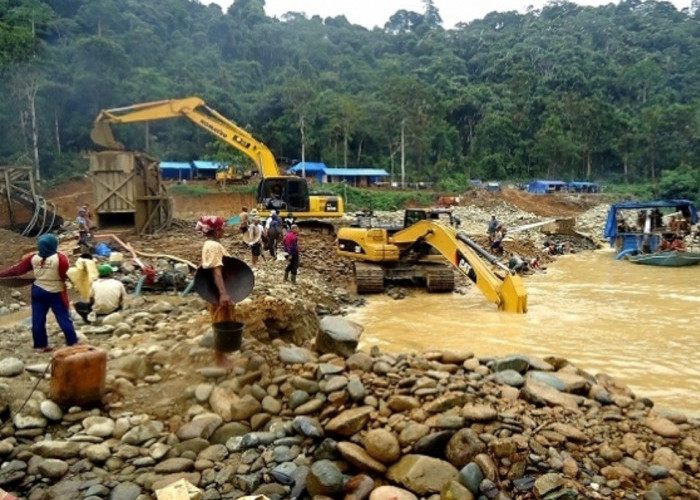 Selain Seluma, Kabupaten di Bengkulu Ini Juga Punya Potensi Emas yang Melimpah