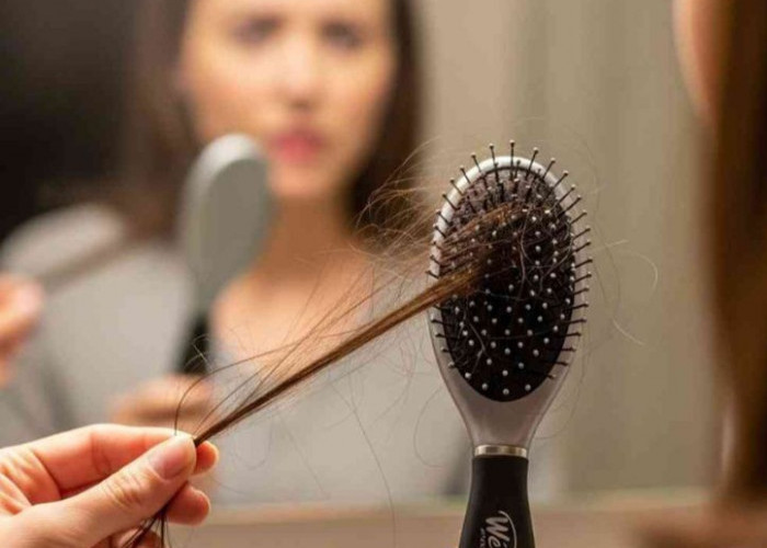 Kuat dan Tidak Mudah Patah, Cara Mengatasi Rambut Rontok agar Tetap Sehat
