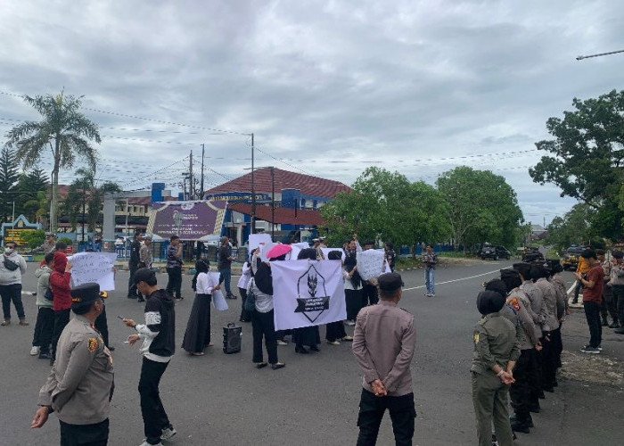 Honorer Non Database Pemprov Bengkulu Tuntut Diperpanjang Kontrak, Ini Penjelasan BKD