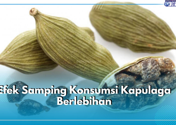 4 Efek Samping Konsumsi Kapulaga Berlebihan, Bisa Sebabkan Kolik Batu Empedu