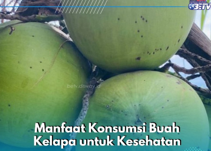 Buah Kelapa Punya Manfaat Mengatur Kadar Gula Darah, Cek Lainnya di Sini