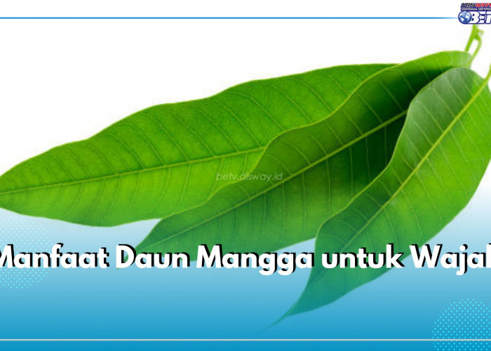  Daun Mangga Baik untuk Wajah, Ini 6 Manfaat yang Ditawarkan