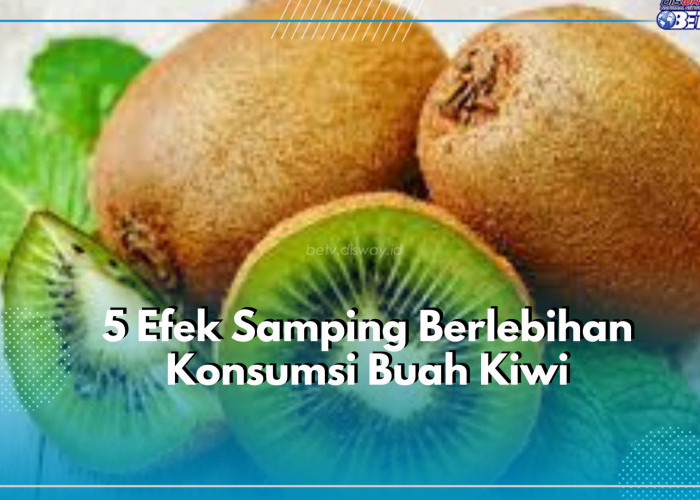 Jangan Pandang Sebelah Mata, Konsumsi Buah Kiwi Secara Berlebihan Dapat Picu Timbulnya Efek Samping Bagi Tubuh