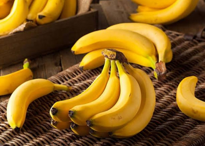 Efek Samping Konsumsi Buah Pisang Secara Berlebihan, Bisa Picu Berat Badan Meningkat