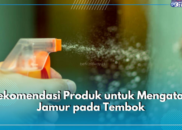 5 Rekomendasi Produk untuk Hempas Jamur di Tembok, Salah Satunya Vixal Pembersih Jamur