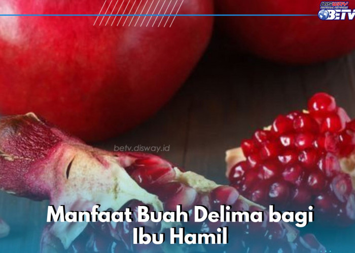 Baik Dikonsumsi Ibu Hamil, Manfaat Buah Delima Ampuh Mencegah Radikal Bebas, Cek Lainnya