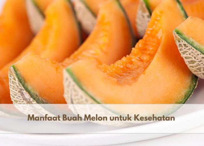 Miliki Nutrisi Melimpah, Berikut Manfaat Buah Melon untuk Kesehatan Tubuh