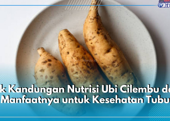 Cek Kandungan Nutrisi Ubi Cilembu dan Klaim 9 Manfaatnya untuk Kesehatan Tubuh