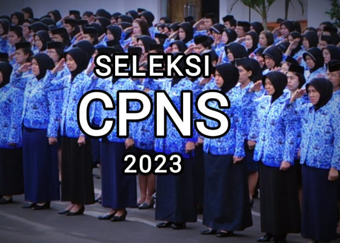 Pegawai PPPK Boleh Ikut Seleksi CPNS 2023, Asalkan Penuhi Syarat Berikut!