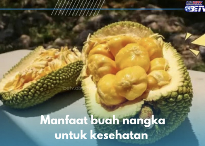 7 Manfaat Buah Nangka untuk Kesehatan, Nomor 4 Optimalkan Fungsi Kekebalan Tubuh