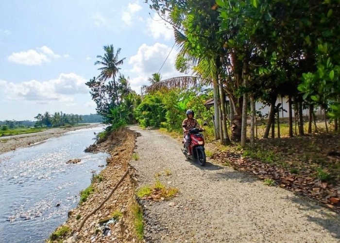 Jembatan Selali Rusak Parah, Bengkulu Selatan Minta Bantuan Rp10 Miliar ke Pusat