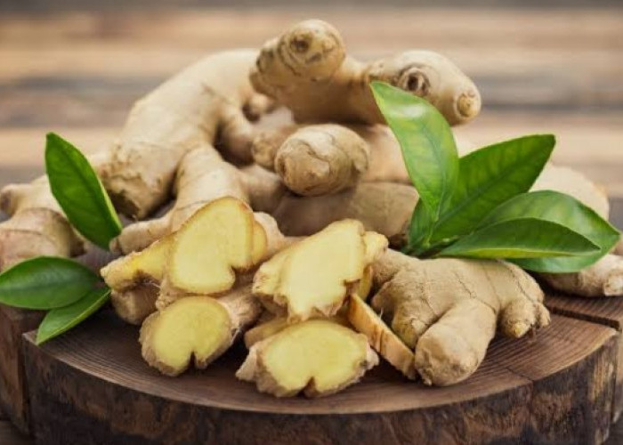 Jahe Emprit Dipercaya Ampuh Atasi Masuk Angin pada Anak, Cek Manfaat Lainnya Disini!