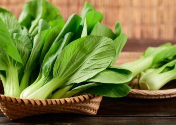 Sayur Pakcoy Tawarkan Manfaat Tersembunyi untuk Kecantikan Kulit, Cek Disini!