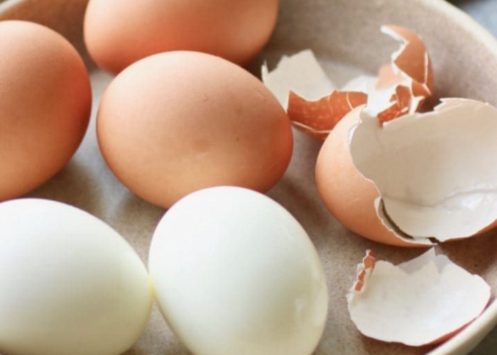 Kaya Protein, Cek Manfaat Konsumsi Telur Rebus bagi Kesehatan, Bisa Menjaga Massa Otot