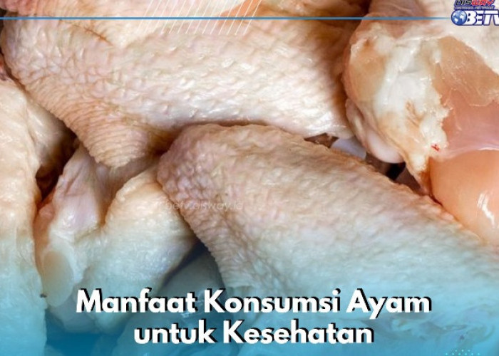 Ampuh Mengontrol Tekanan Darah, Ini Manfaat Lain Konsumsi Ayam untuk Kesehatan