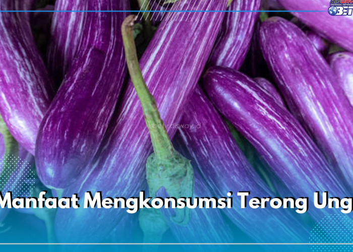 Dijuluki Rajanya Sayur, Ini 5 Manfaat Mengkonsumsi Terong Ungu untuk Kesehatan Tubuh